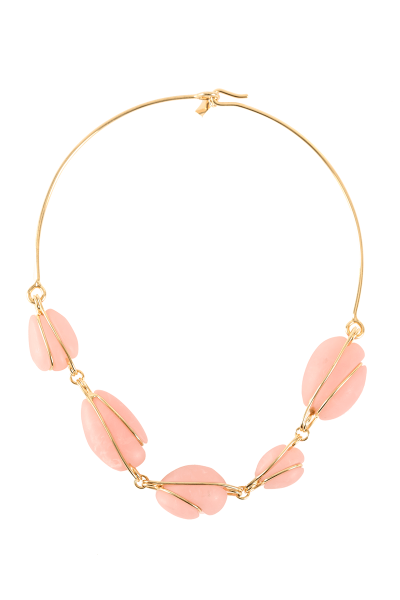 40729-ROSA-