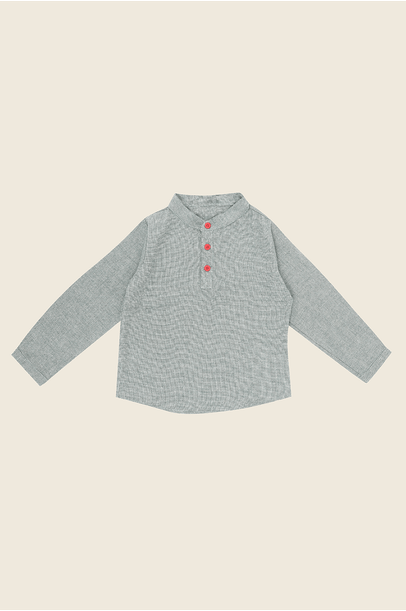 Camisa Franccino Edamami  - VERDE